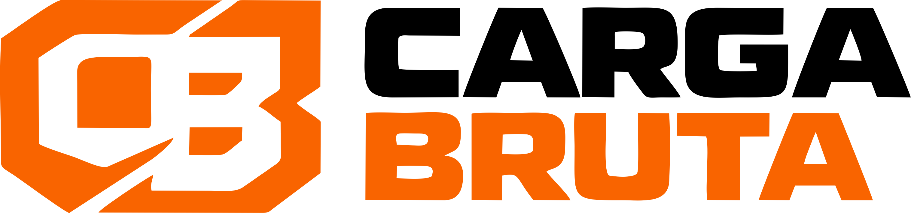 Carga Bruta